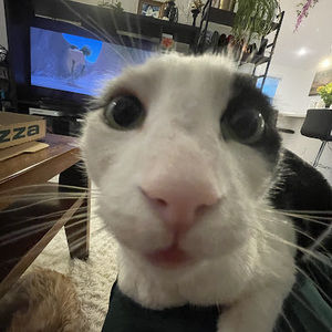 Meet your Posher, Addy